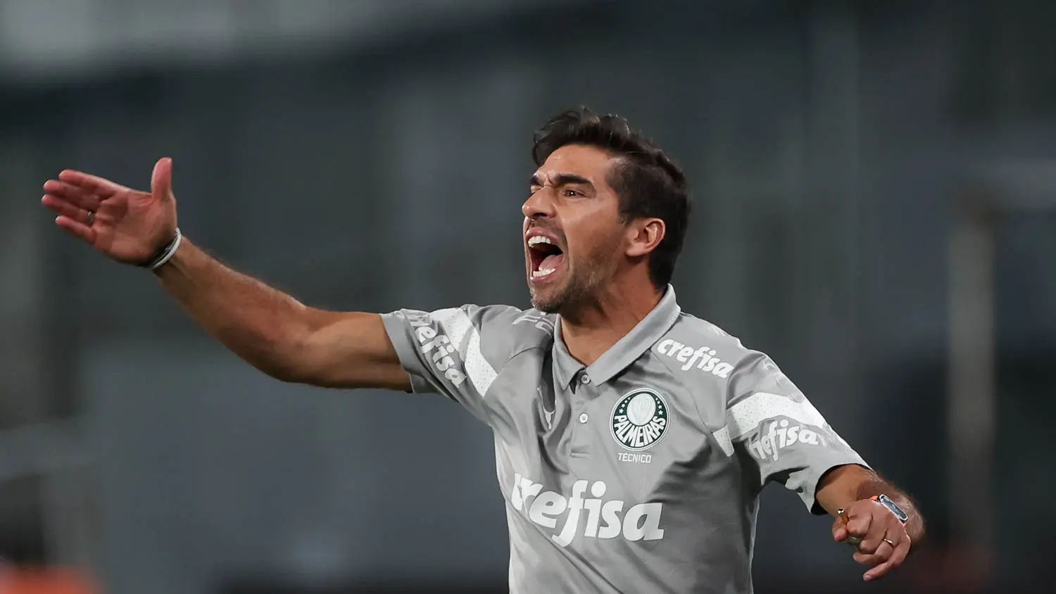 Palmeiras: Betano dá aposta grátis de R$25 em jogo contra o São