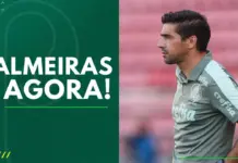 Palmeiras Agora Abel Ferreira, técnico do Palmeiras