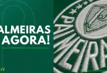 Palmeiras Agora Símbolo do Maior Campeão do Brasil