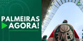 Palmeiras Agora Torcedor do Palmeiras no Allianz Parque