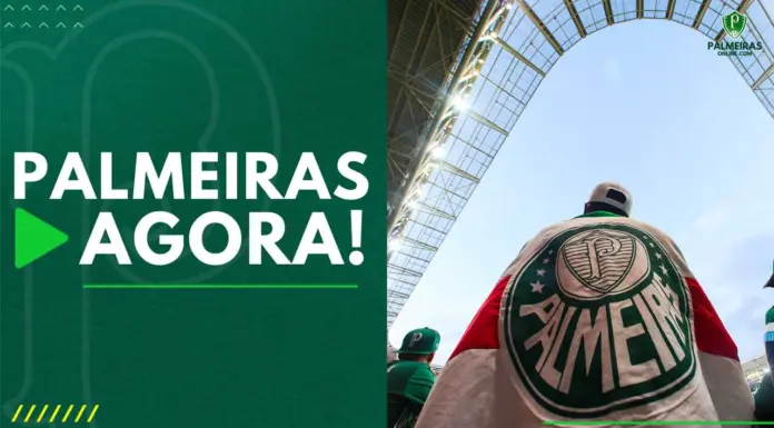 Palmeiras Agora Torcedor do Palmeiras no Allianz Parque