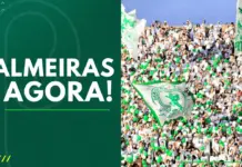 Palmeiras Agora Torcida do Palmeiras