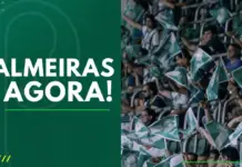 Palmeiras Agora Torcida do Palmeiras no Allianz Parque