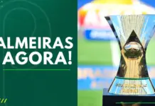 Palmeiras Agora Verdão tem mais chance de ser Campeão Brasileiro 2023