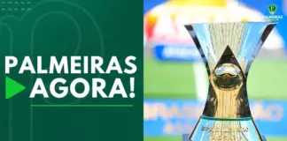 Palmeiras Agora Verdão tem mais chance de ser Campeão Brasileiro 2023