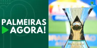 Taça do Campeonato Brasileiro