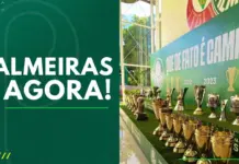Palmeiras Agora Galeria de Troféus