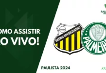 Como assistir Novorizontino x Palmeiras ao vivo pelo Paulista 2024