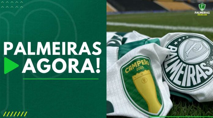 Palmeiras Agora Camisa do Verdão usada no Paulista 2024