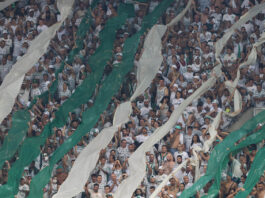 A torcida da SE Palmeiras, em jogo contra a equipe do C Athletico Paranaense, durante partida válida pelas finais, volta, da Recopa Sul-Americana, na arena Allianz Parque. (Foto: Cesar Greco)