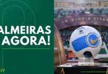 Palmeiras Agora A bola da Copa Libertadores da América