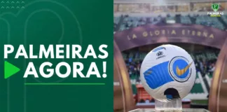 Palmeiras Agora A bola da Copa Libertadores da América