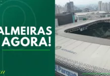 Palmeiras Agora Allianz Parque passa por troca do gramado