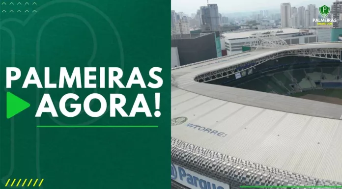 Palmeiras Agora Allianz Parque passa por troca do gramado