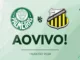 Como assistir ao vivo Palmeiras x Novorizontino pelo Paulistão 2024