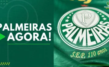 Palmeiras Agora Camisa do Verdão (1)