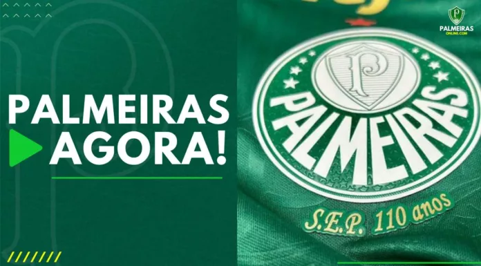 Palmeiras Agora Camisa do Verdão (1)