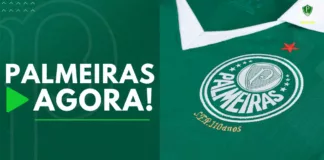 Palmeiras Agora Camisa do Verdão