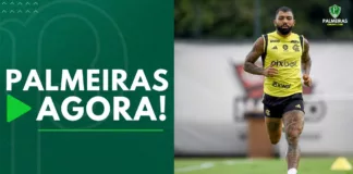Palmeiras Agora Gabriel Barbosa, do Flamengo