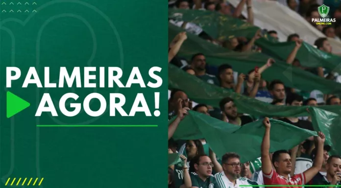 Palmeiras Agora torcida do Verdão no Allianz Parque