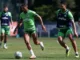 Rony e Luan disputam bola no treino do Palmeiras